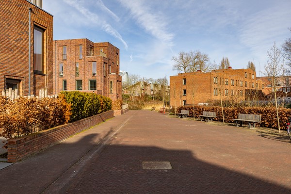 Helper Westsingel 49-1_-3.jpg